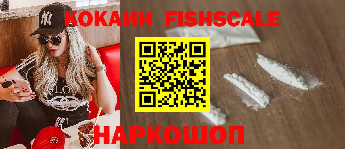 сколько стоит  Учалы  Кокаин FishScale  Cocaine FishScale 