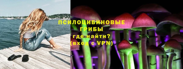 2c-b Кинешма