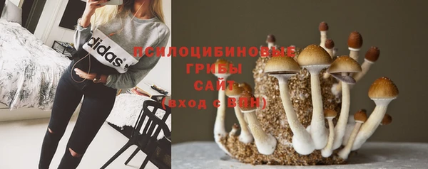 стаф Киреевск