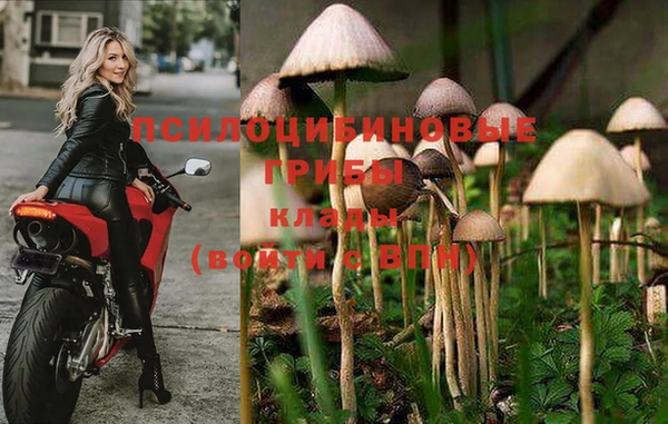 Альфа ПВП Семикаракорск