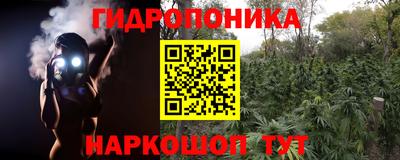 прущие грибы Мариинск