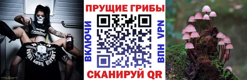 Псилоцибиновые грибы Psilocybe  darknet какой сайт  Учалы 