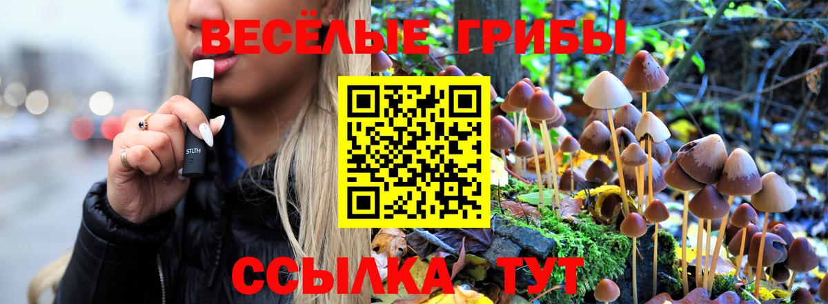 Галлюциногенные грибы MAGIC MUSHROOMS  Галлюциногенные грибы Magic Shrooms  Вход с VPN  Учалы 
