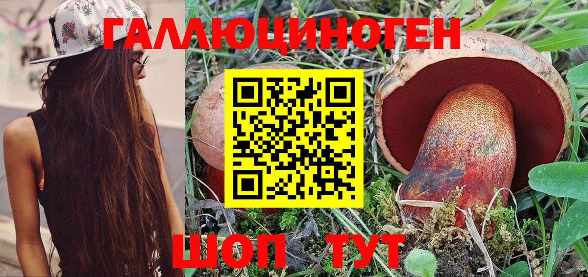 Псилоцибиновые грибы Psilocybe Учалы
