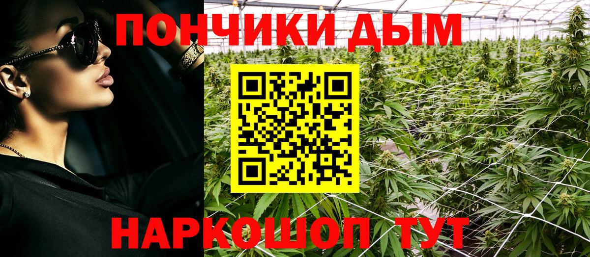 Марихуана сатива Учалы
